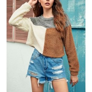 Color Block Teddy Sweatshirt
